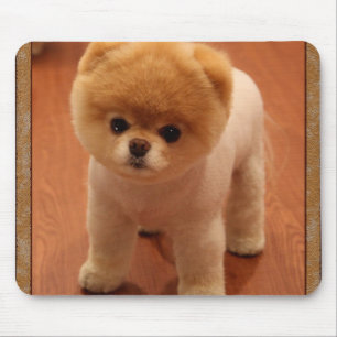 Mousepad Bebê adorável pequeno do filhote de cachorro do