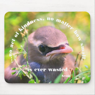 Mousepad Bebê Bird Kindness Citação Inspiradora