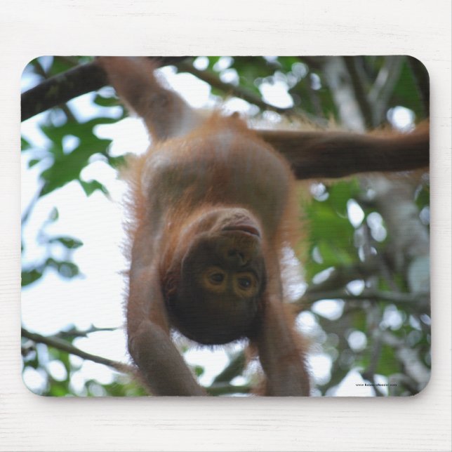 Mousepad Bebê bonito: Animais selvagens da selva (Frente)