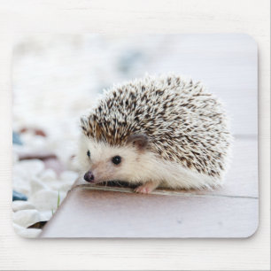Mousepad Bebê bonito do ouriço