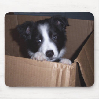 Mousepad Bebê border collie