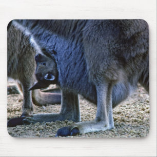 Mousepad Bebê canguru na bolsa da mãe - Austrália