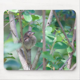 Mousepad Bebê Cardinal Dormindo