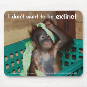 Mousepad Bebê de Pouty da conservação dos animais selvag