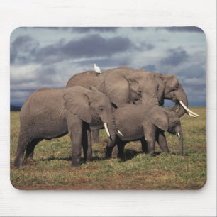 Mousepad Bebê Elefante Africano com família
