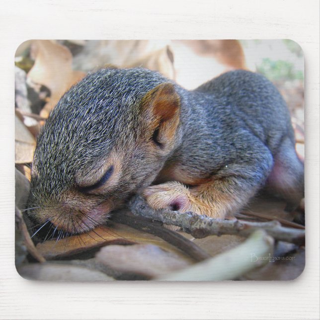Mousepad Bebê-Esquilo Dormindo (Frente)