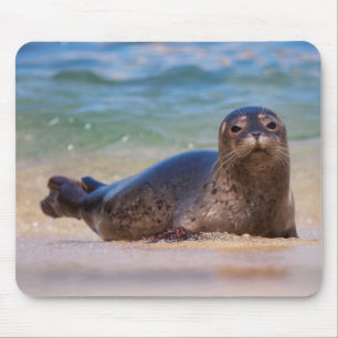 Mousepad Bebê Foca-do-porto na Água
