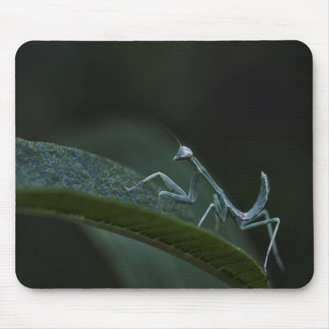 Mousepad Bebê Rezando Mantis (Frente)