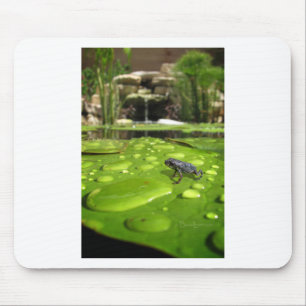 Mousepad Bebê Toad em Pond