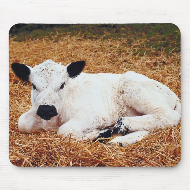 Mousepad Bebê Vaca, Vitelo (Frente)