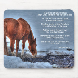 Mousepad Bebendo de Cavalo Ranzinza Dun na Foto Equina Pisc
