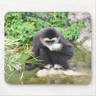 Mousepad Bebendo do macaco