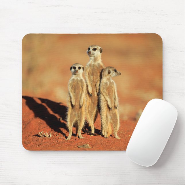 Mousepad Bebês Mais Pobres | 3 Meerkats (Com mouse)