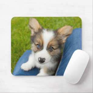 Mousepad Bebês Mais Pobres Baby Corgi no meu colo