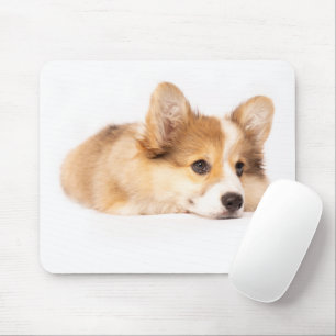 Mousepad Bebês Mais Pobres Baby Corgi Puppy Portraje