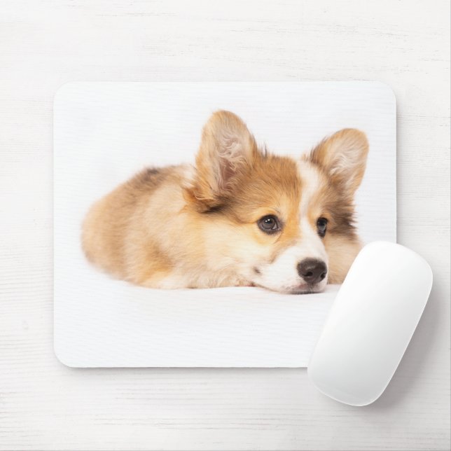 Mousepad Bebês Mais Pobres | Baby Corgi Puppy Portraje (Com mouse)