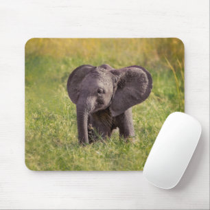 Mousepad Bebês Mais Pobres Baby Elephant Kenya Africa