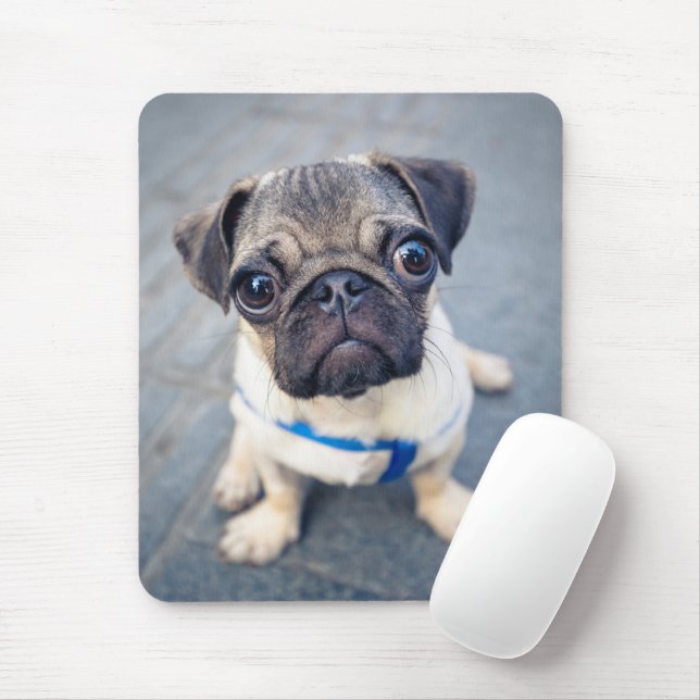 Mousepad Bebês Mais Pobres | Baby Pug (Com mouse)