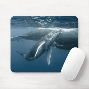 Mousepad Bebês Mais Pobres Baleia-jubarte