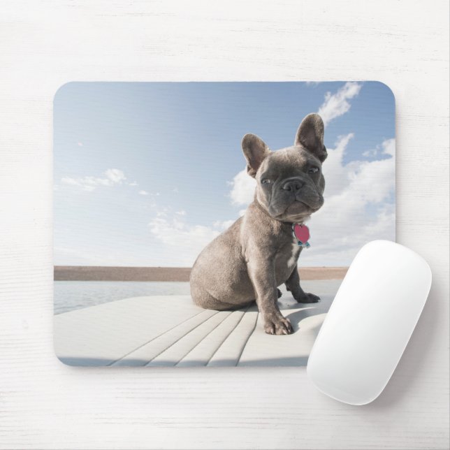 Mousepad Bebês Mais Pobres | Barco francês Bulldog (Com mouse)
