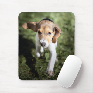 Mousepad Bebês Mais Pobres Beagle Puppy
