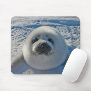 Mousepad Bebês Mais Pobres Bebê
