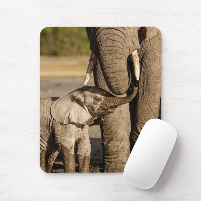 Mousepad Bebês Mais Pobres | Bebê Elefante e mamã (Com mouse)