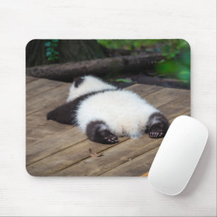 Mousepad Bebês Mais Pobres   Bebê Giant Panda Dormindo