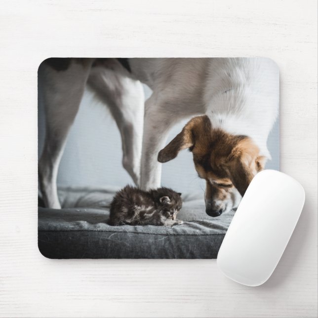 Mousepad Bebês Mais Pobres | Bebê Kitten e Cachorro (Com mouse)