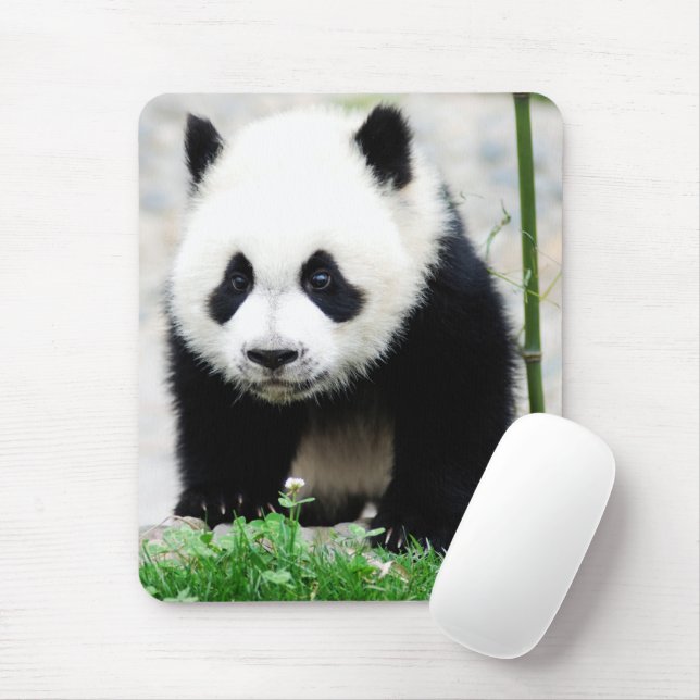 Mousepad Bebês Mais Pobres | Bebê-Panda (Com mouse)