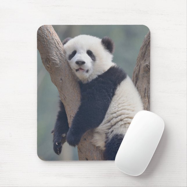 Mousepad Bebês Mais Pobres | Bebê-Panda-Urso Dormindo (Com mouse)