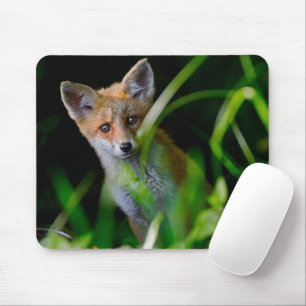 Mousepad Bebês Mais Pobres Bebê-Raposa Vermelha