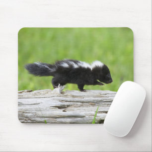 Mousepad Bebês Mais Pobres Bebê Skunk