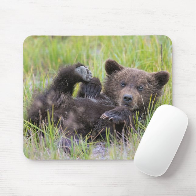 Mousepad Bebês Mais Pobres | Bebê-Urso-Castanho (Com mouse)