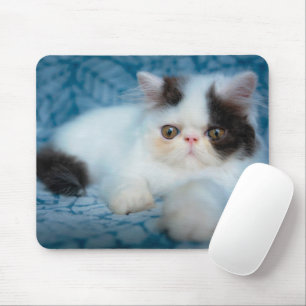 Mousepad Bebês Mais Pobres   Black & White Kitten
