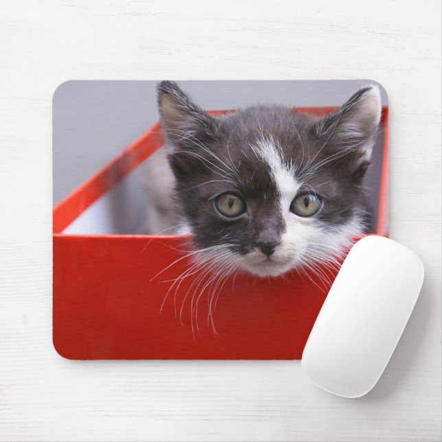 Mousepad Bebês Mais Pobres | Black & White Kitten (Com mouse)
