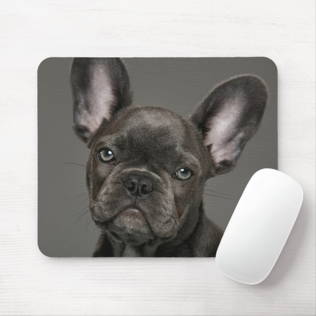 Mousepad Bebês Mais Pobres | Buldogue francês (Com mouse)