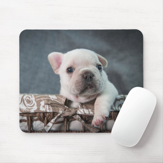 Mousepad Bebês Mais Pobres | Buldogue francês (Com mouse)