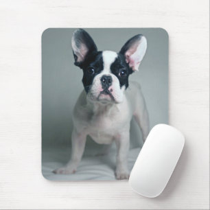 Mousepad Bebês Mais Pobres Buldogue francês