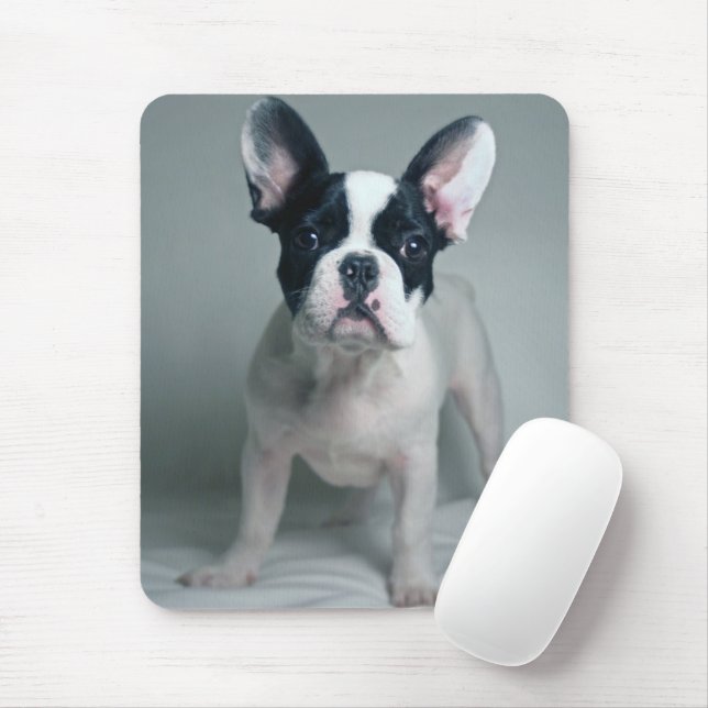 Mousepad Bebês Mais Pobres | Buldogue francês (Com mouse)