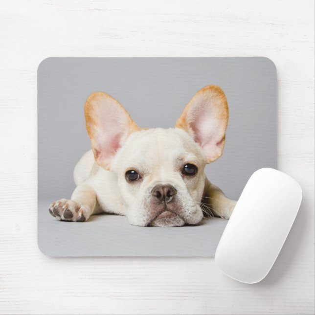 Mousepad Bebês Mais Pobres | Buldogue Francês Deitado (Com mouse)