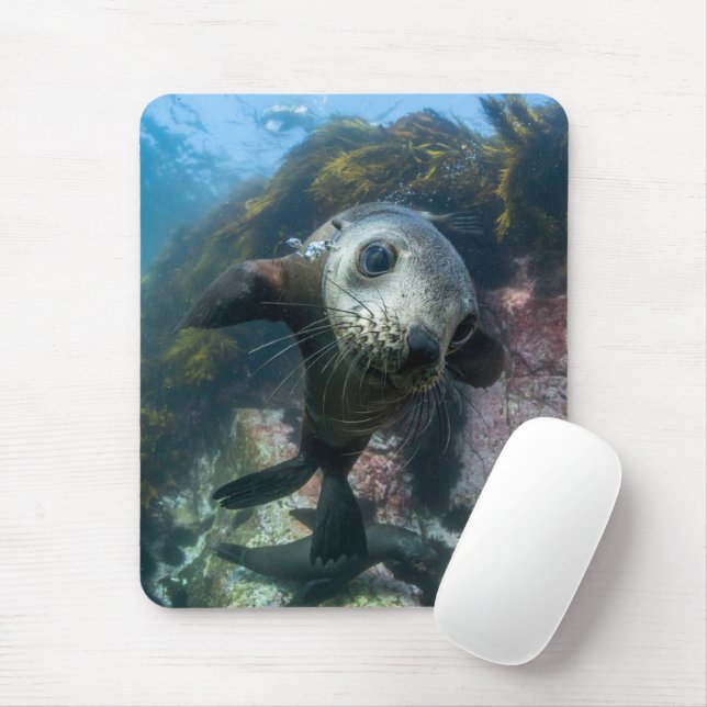 Mousepad Bebês Mais Pobres | Cabo de peles submarinas (Com mouse)