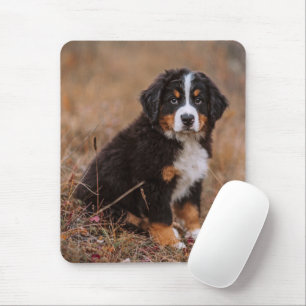 Mousepad Bebês Mais Pobres   Cachorro de Montanha Bernese