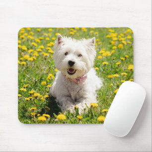 Mousepad Bebês Mais Pobres   Cachorro Ocidental em Dandelio