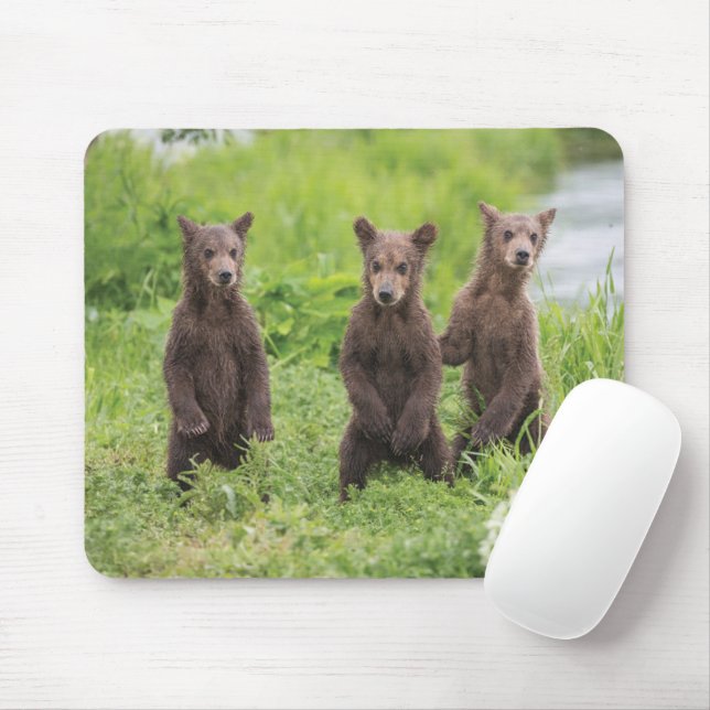 Mousepad Bebês Mais Pobres | Camchatka Brown Bear Cubs (Com mouse)
