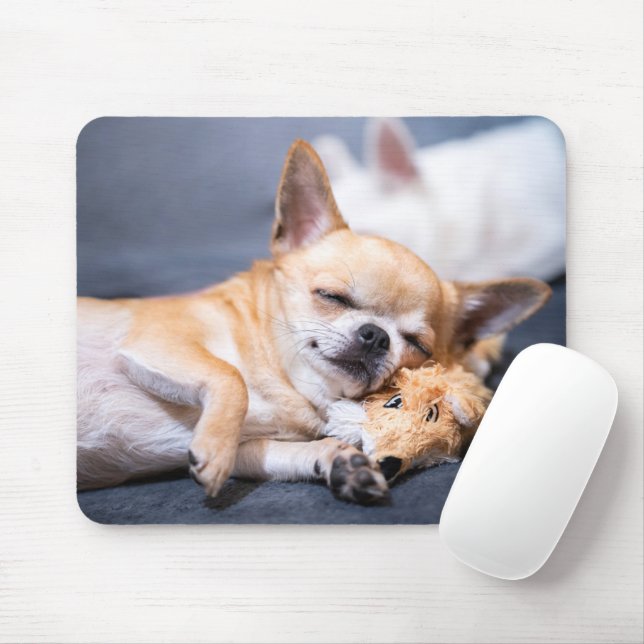 Mousepad Bebês Mais Pobres | Cão Chihuahua de cabelos verme (Com mouse)