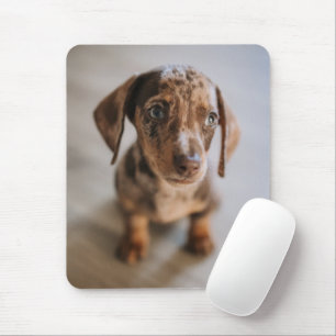 Mousepad Bebês Mais Pobres Castanho Dachshund Puppy