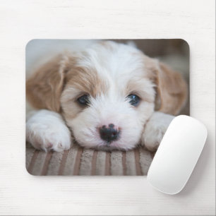 Mousepad Bebês Mais Pobres Cavashon Puppy