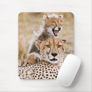 Mousepad Bebês Mais Pobres   Chita Cat & Cub