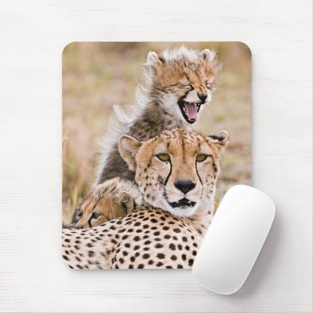 Mousepad Bebês Mais Pobres | Chita Cat & Cub (Com mouse)